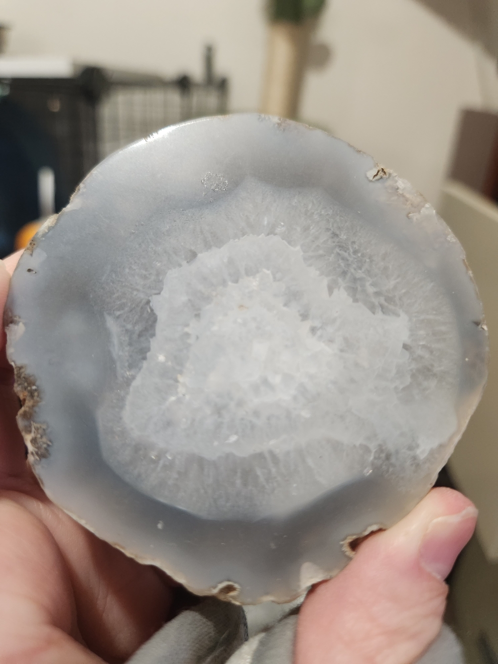 Natural Gray Chalcedony Decorative Half - Known as a Thunder Egg